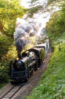 D610_1656-1.jpg