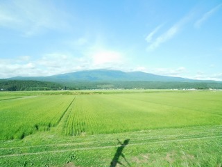 DSCN0941.jpg