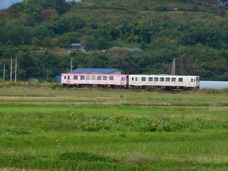DSCN1390.jpg