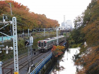 DSCN1461.jpg