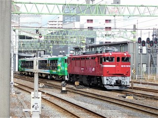 DSCN1536.jpg