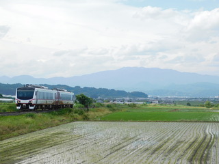 DSCN1585.JPG