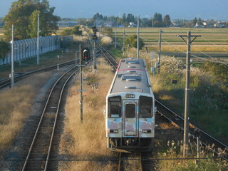 DSCN4778.JPG