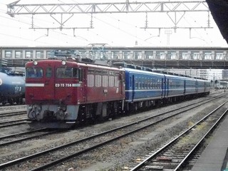 DSCN5193.jpg