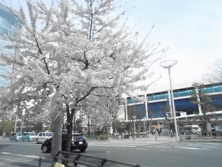 DSCN5207.jpg