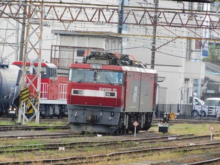 DSCN6286.jpg