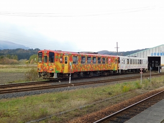 DSCN7535.jpg