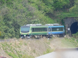 DSCN8447.jpg