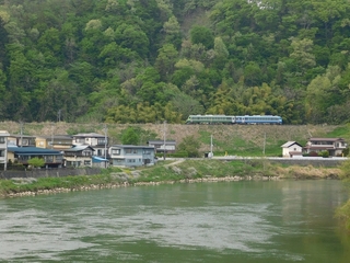 DSCN8484.jpg