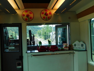 DSCN8742.JPG