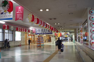 IMGP0940.JPG