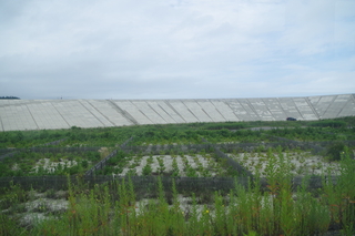 IMGP1021.JPG