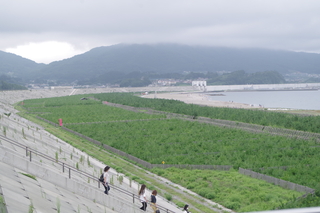 IMGP1071.JPG