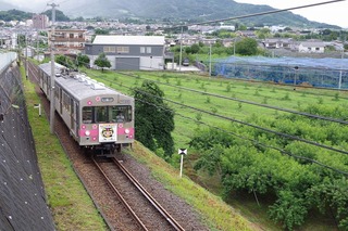 IMGP1622.jpg