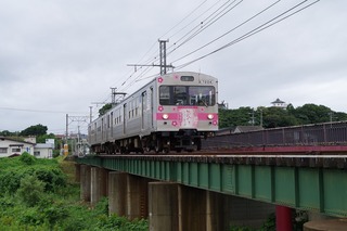 IMGP1630.jpg