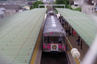 IMGP1643.jpg