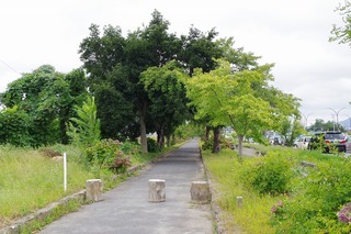 IMGP1880.jpg