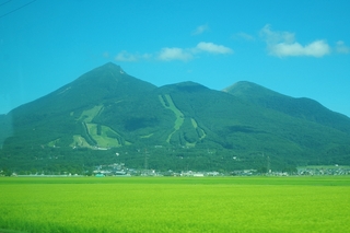 IMGP2777.jpg