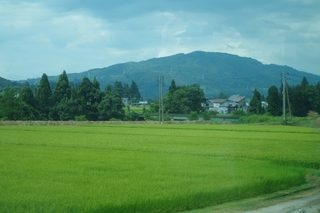 IMGP2926.jpg