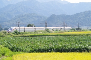 IMGP3380.jpg