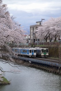 IMGP3556.jpg