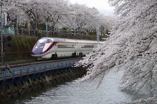 IMGP3582.jpg