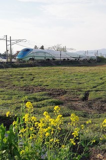 IMGP3635.jpg