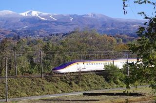 IMGP3699.jpg