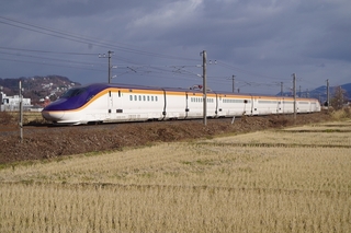 IMGP3754.jpg