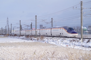 IMGP3811.jpg