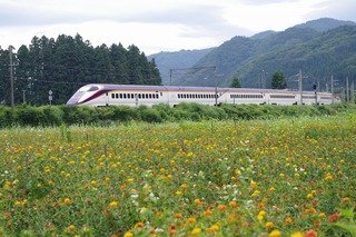 IMGP3880.jpg