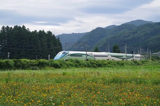 IMGP3889.jpg