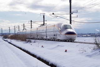IMGP3890.jpg