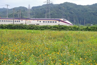 IMGP3902.jpg