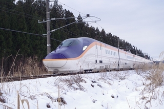IMGP3908.jpg