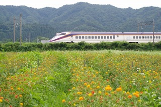 IMGP3913.jpg