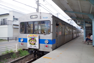 IMGP4213.JPG