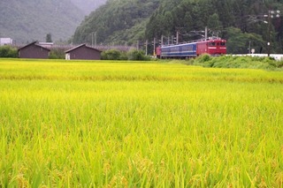 IMGP4366.jpg