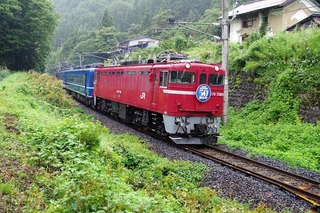 IMGP4374.jpg