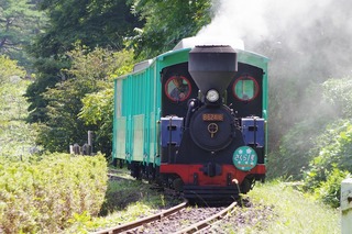 IMGP4499.jpg