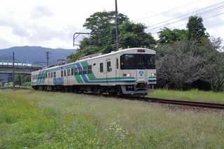 IMGP4546.jpg
