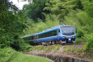 IMGP5363.JPG