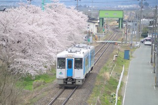 IMGP5371.jpg