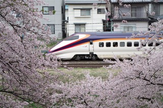 IMGP5407.jpg