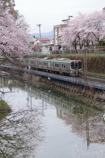 IMGP5441.jpg