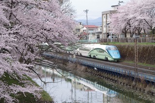 IMGP5458.jpg