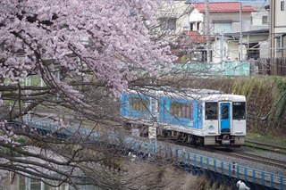 IMGP5463.jpg