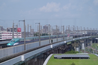 IMGP5644.jpg