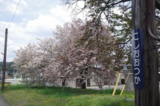 IMGP5823.jpg