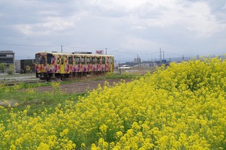 IMGP5850.jpg